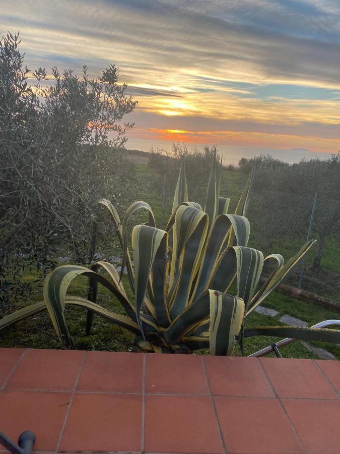 Apartamento Sunset House Castiglioncello Exterior foto